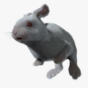 Rabbit White (ANIMATED) (FUR)